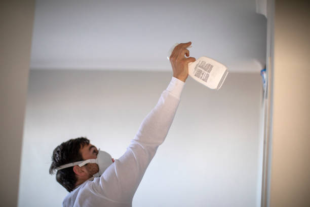 Best Fast Mold Removal  in Daleville, VA