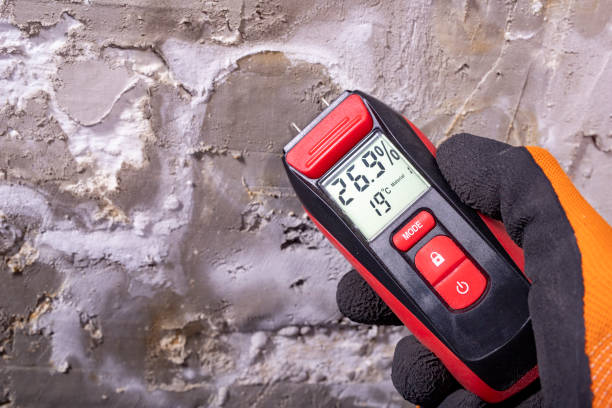 Daleville, VA Mold Removal Company